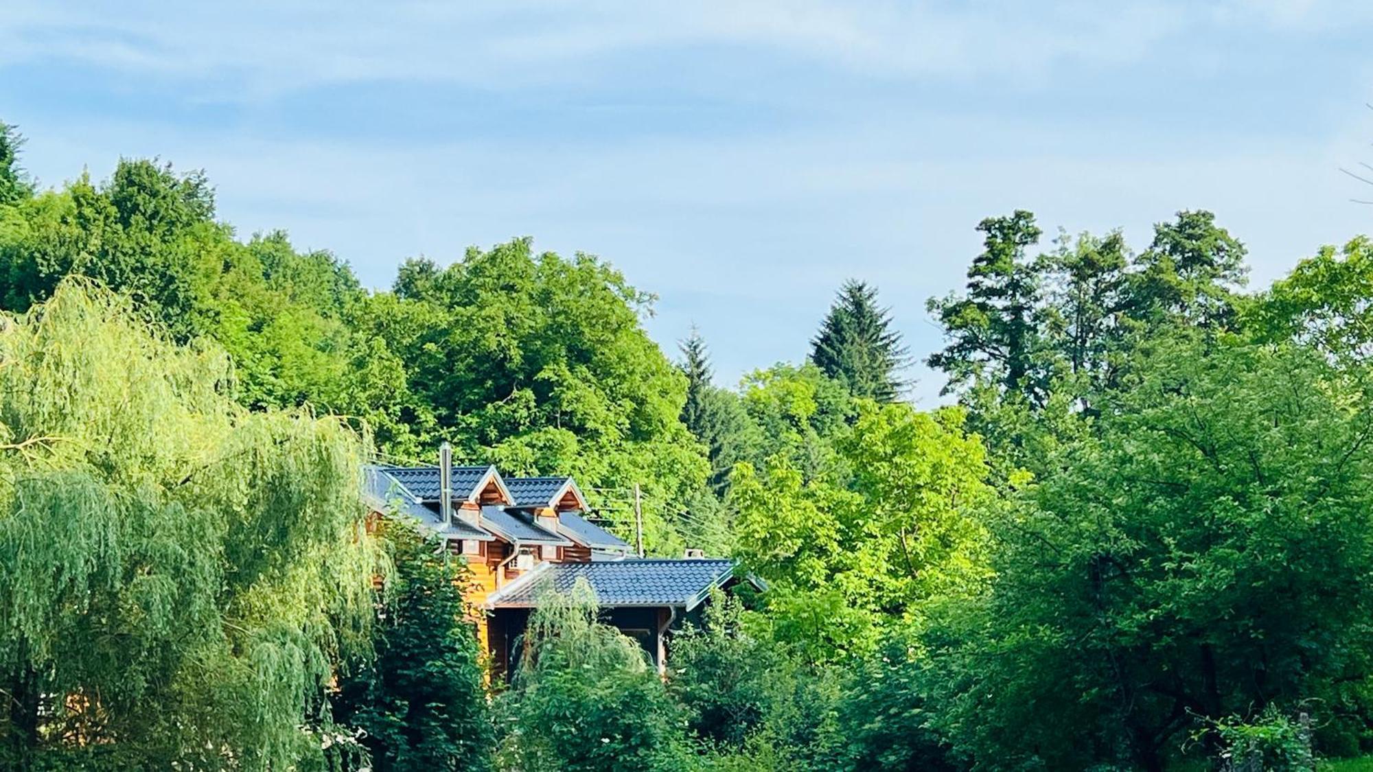 Kuca Za Odmor Carolija Villa Jastrebarsko Exterior photo